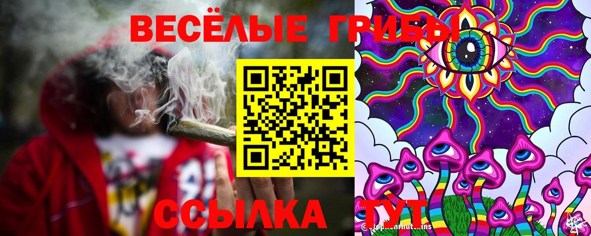 Галлюциногенные грибы Cubensis  Вход с VPN  Новокубанск  Псилоцибиновые грибы мицелий 