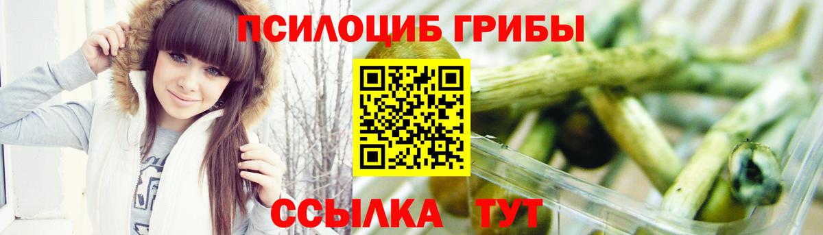 Псилоцибиновые грибы Magic Shrooms Новокубанск