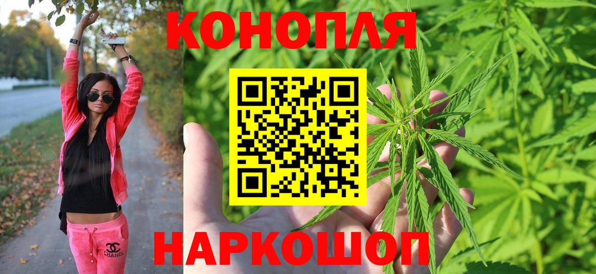 ГАШ Новокубанск